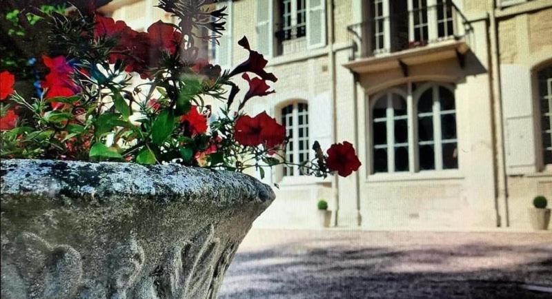 Château du Mesnil Soleil , gites et chambres d'hôtes Damblainville Extérieur photo