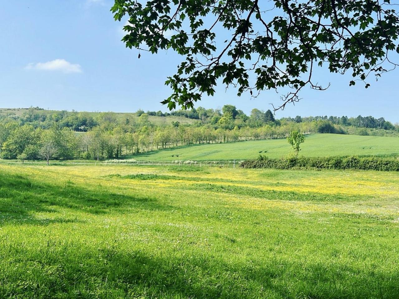 Château du Mesnil Soleil , gites et chambres d'hôtes Damblainville Extérieur photo